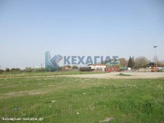 ΕΞΩΤΕΡΙΚΗ ΛΗΨΗ