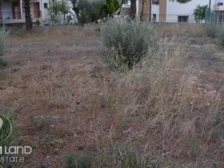 Forumland Real Estate, Οικόπεδο 905 τ.μ.