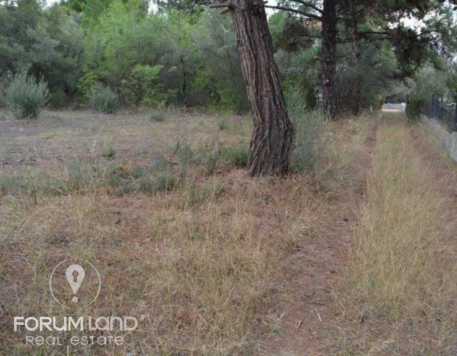 Forumland Real Estate, Οικόπεδο 905 τ.μ.