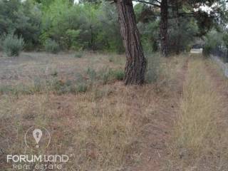 Forumland Real Estate, Οικόπεδο 905 τ.μ.