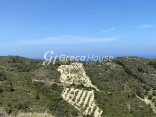 Εξαιρετικό Οικόπεδο - Οικισμός προς Πώληση στην Εύβοια