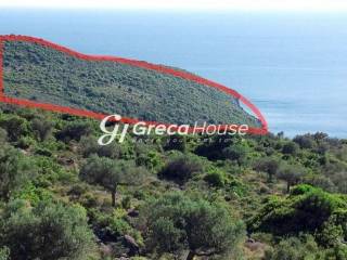 Plot for sale in Mani Peloponnese