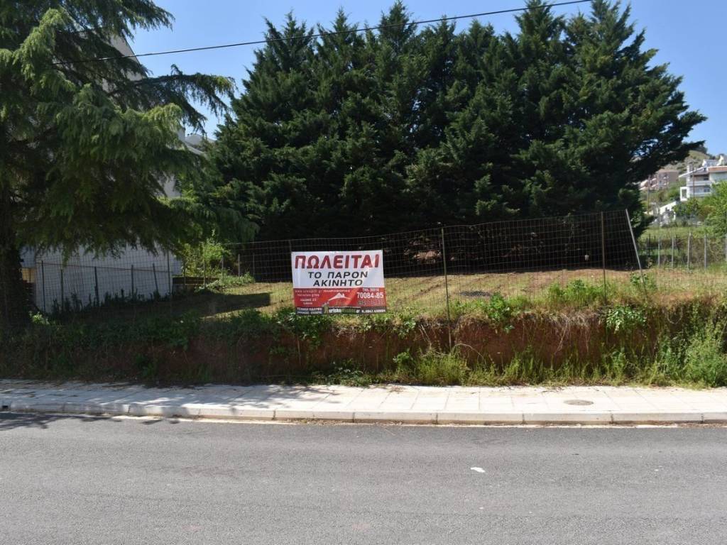 ΑΠΟΨΗ ΟΙΚΟΠΕΔΟΥ