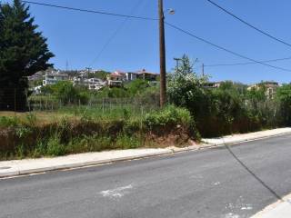 ΑΠΟΨΗ ΟΙΚΟΠΕΔΟΥ