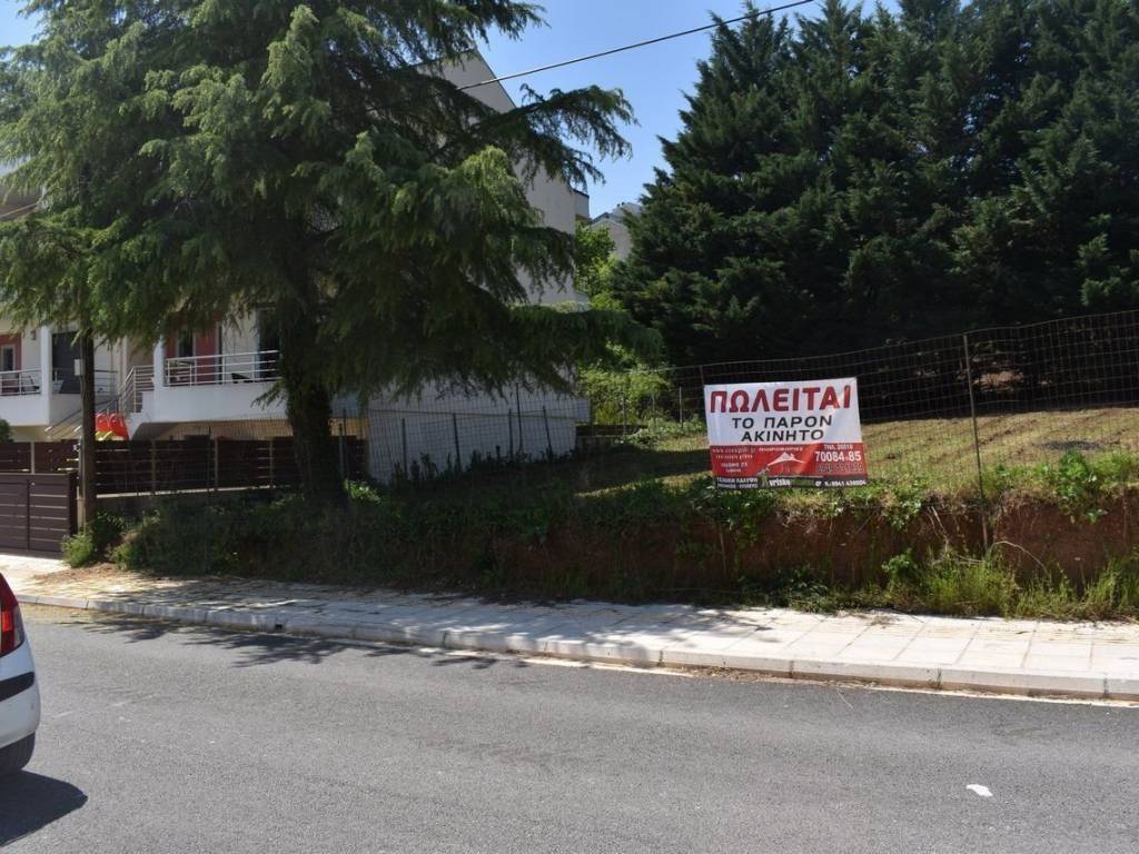 ΑΠΟΨΗ ΟΙΚΟΠΕΔΟΥ