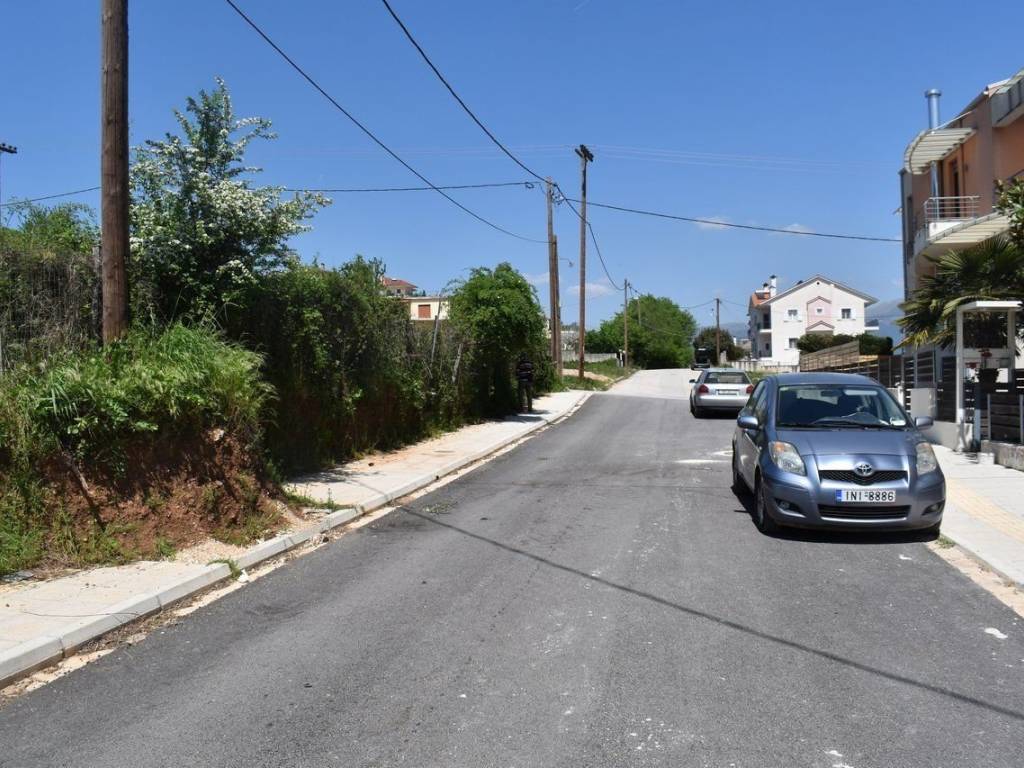 ΑΠΟΨΗ ΟΙΚΟΠΕΔΟΥ