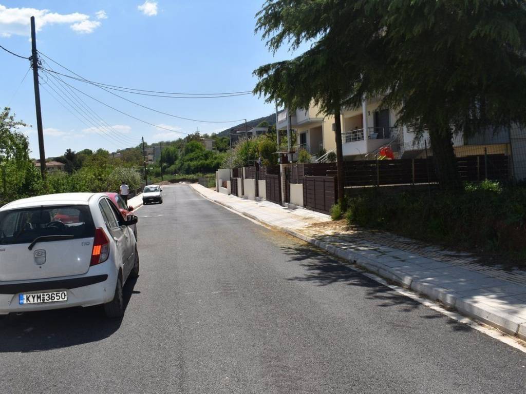 ΑΠΟΨΗ ΟΙΚΟΠΕΔΟΥ