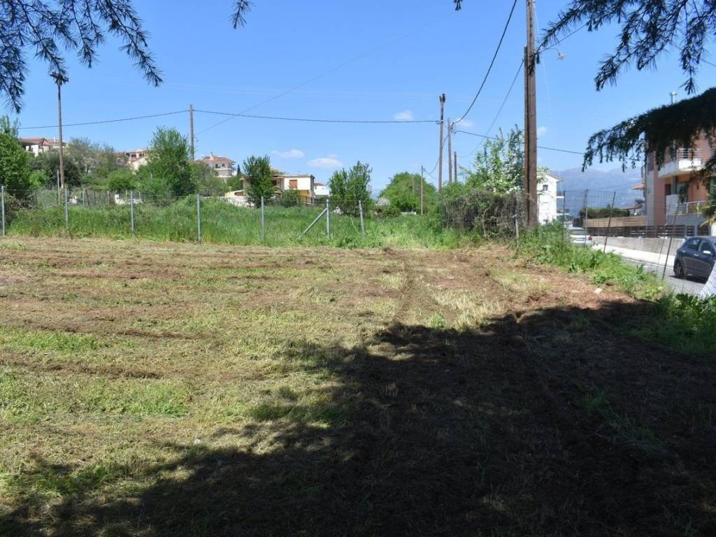 ΑΠΟΨΗ ΟΙΚΟΠΕΔΟΥ