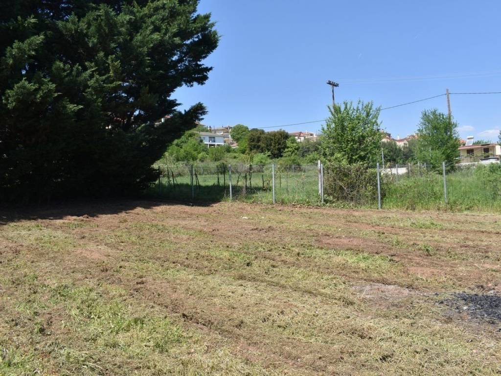 ΑΠΟΨΗ ΟΙΚΟΠΕΔΟΥ