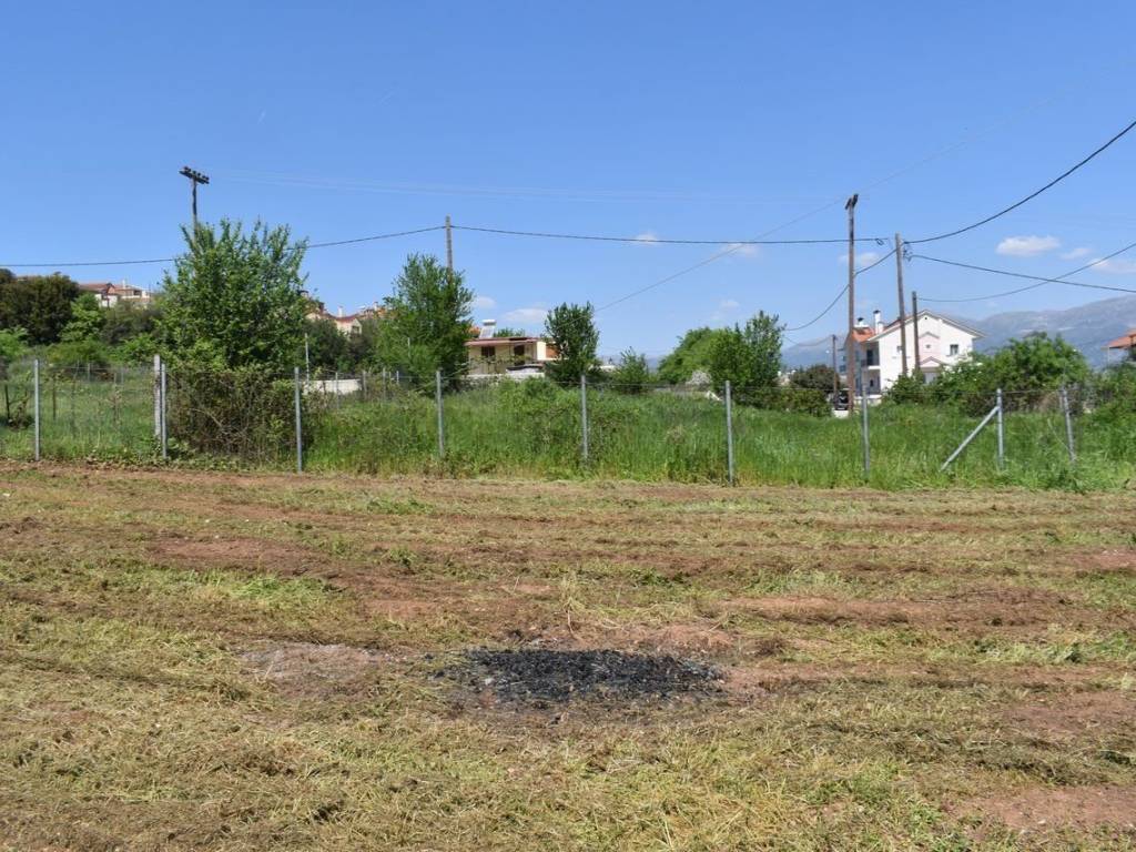 ΑΠΟΨΗ ΟΙΚΟΠΕΔΟΥ