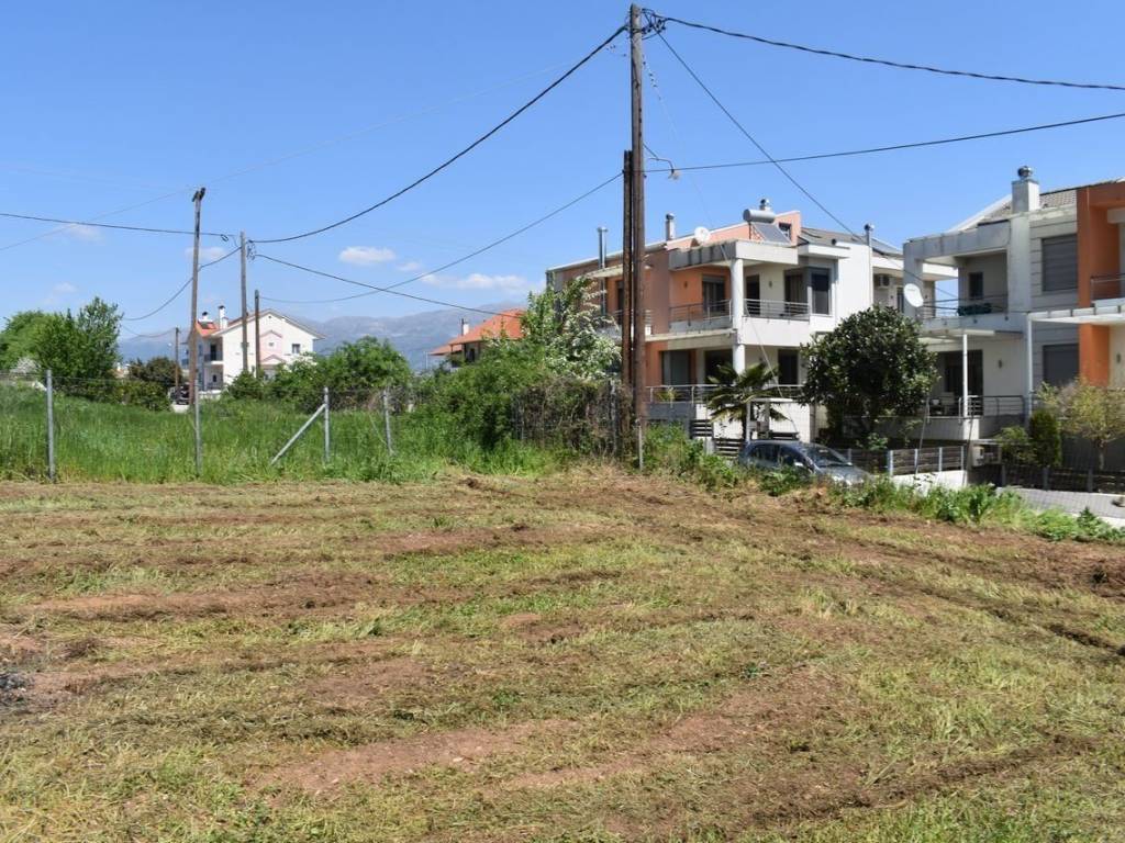 ΑΠΟΨΗ ΟΙΚΟΠΕΔΟΥ