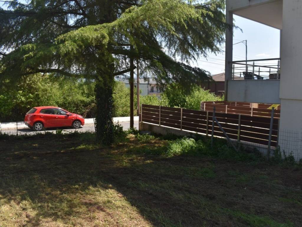 ΑΠΟΨΗ ΟΙΚΟΠΕΔΟΥ