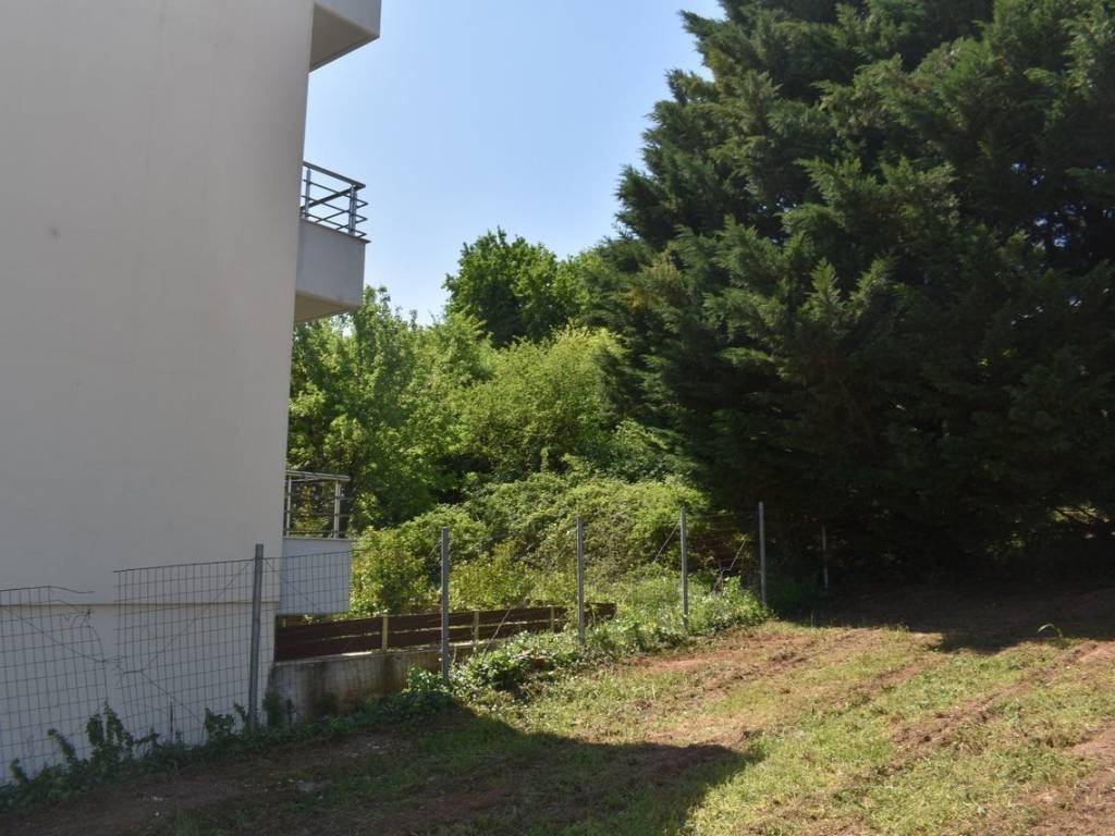 ΑΠΟΨΗ ΟΙΚΟΠΕΔΟΥ