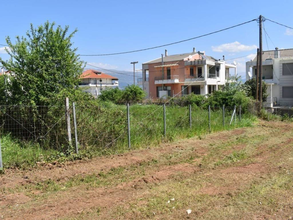 ΑΠΟΨΗ ΟΙΚΟΠΕΔΟΥ