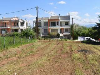 ΑΠΟΨΗ ΟΙΚΟΠΕΔΟΥ