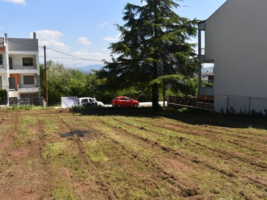 ΑΠΟΨΗ ΟΙΚΟΠΕΔΟΥ