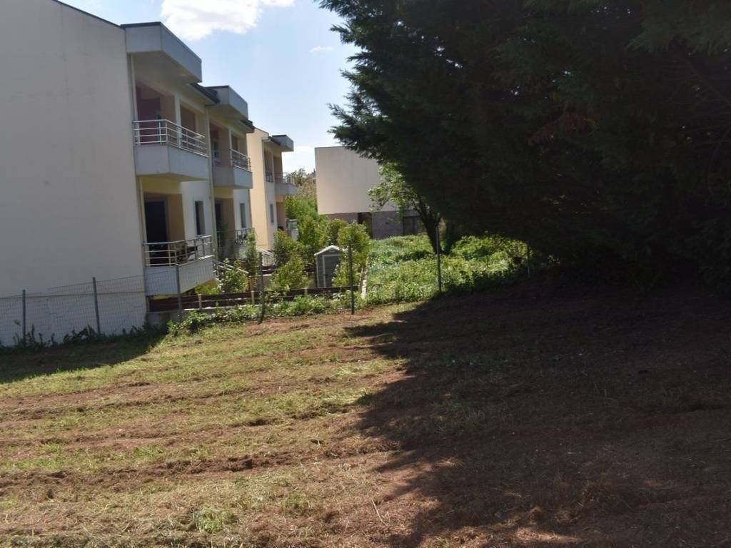 ΑΠΟΨΗ ΟΙΚΟΠΕΔΟΥ