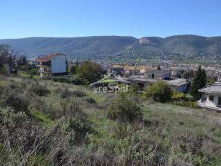 ΑΠΟΨΗ ΟΙΚΟΠΕΔΟΥ