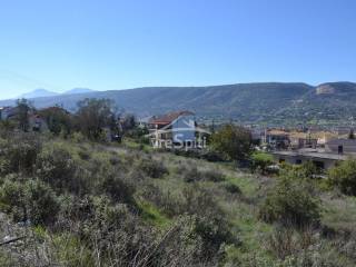 ΑΠΟΨΗ ΟΙΚΟΠΕΔΟΥ