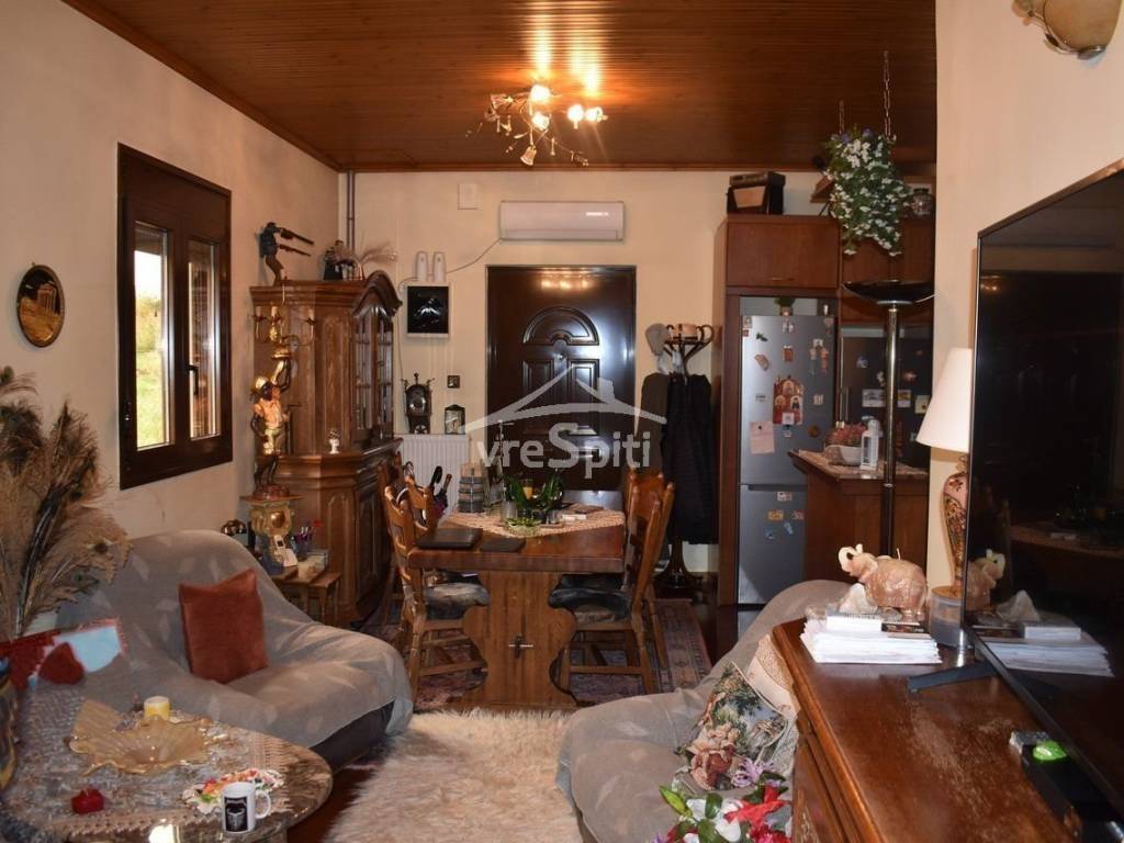 ΕΣΩΤΕΡΙΚΟΣ ΧΩΡΟΣ ΚΑΤΟΙΚΙΑΣ