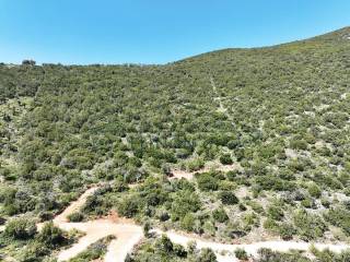 Το αγροτεμάχιο από ψηλά