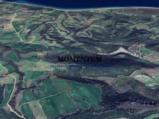 Εξωτερικοι χώροι