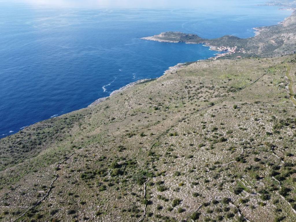 Από το χωριό υπάρχει άποψη του Μεσσηνιακού Κόλπου