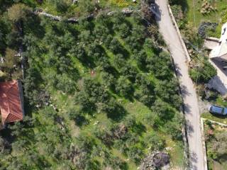 Τα γύρω σπίτια έχουν μόνιμους κατοίκους όλο το χρόνο.