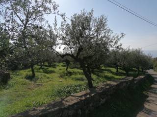 Περιβάλλεται από ένα παραδοσιακό πέτρινο τοίχο.