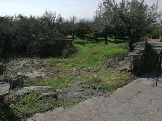 Η είσοδος προς το οικόπεδο από το δρόμο στη Β.Δ. μεριά του.