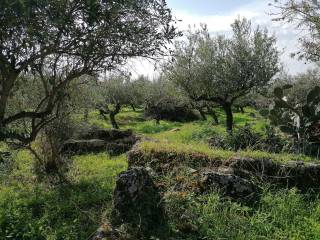 Περιλαμβάνει ένα παραδοσιακό πέτρινο &quot;αλώνι&quot; σε στυλ Μάνης.