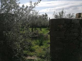 Δεύτερη είσοδο προς το οικόπεδο από το Βόρειο μαντρότοιχο.