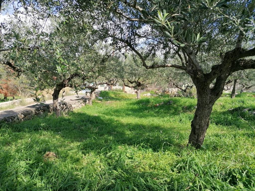 Τα δυτικά σύνορά του / πρόσοψη προς το δρόμο.