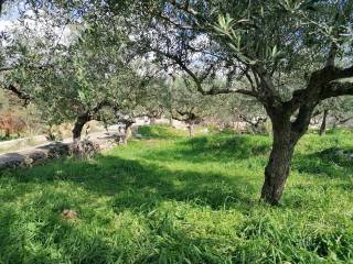 Τα δυτικά σύνορά του / πρόσοψη προς το δρόμο.
