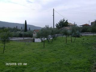 Το εσωτερικό του οικοπέδου : καθαρό και επίπεδο.