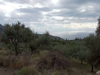 Φώτο από τα βόρεια σύνορα του οικοπέδου  προς Ανατολή.