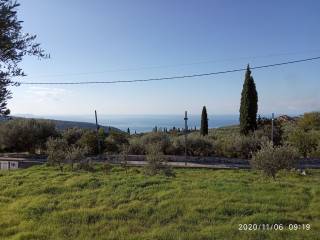 Η θέα μέσα από το οικόπεδο κοιτάζοντας προς Νότο.
