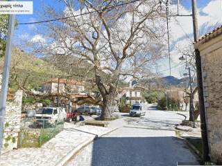 Η κεντρική πλατεία του χωριού Θαλάμες, πλατεία Πλατάνου.