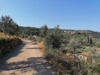Βρίσκεται στη γωνία δύο αγροτικών δρόμων