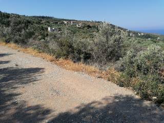 no planning restrictions