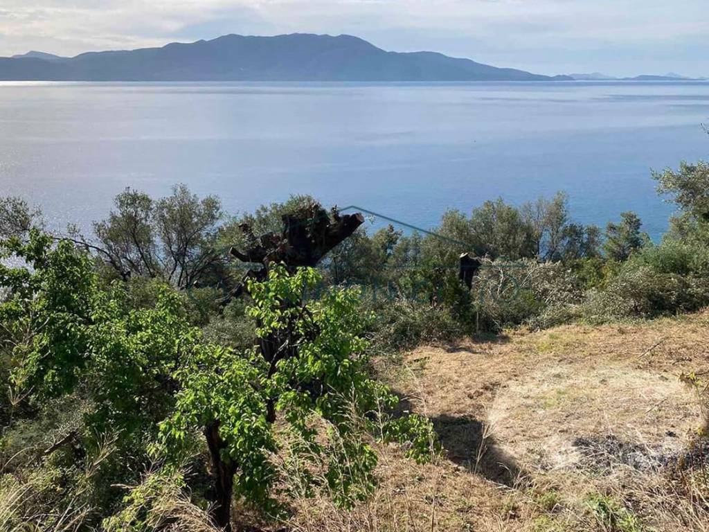 Όμορφη και απρόσκοπτη θέα προς τη θάλασσα