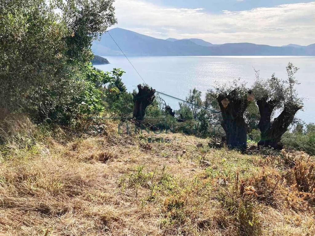 Όμορφη και απρόσκοπτη θέα προς τη θάλασσα