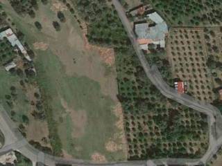 ΑΠΟΨΗ ΑΠΟ ΨΗΛΑ