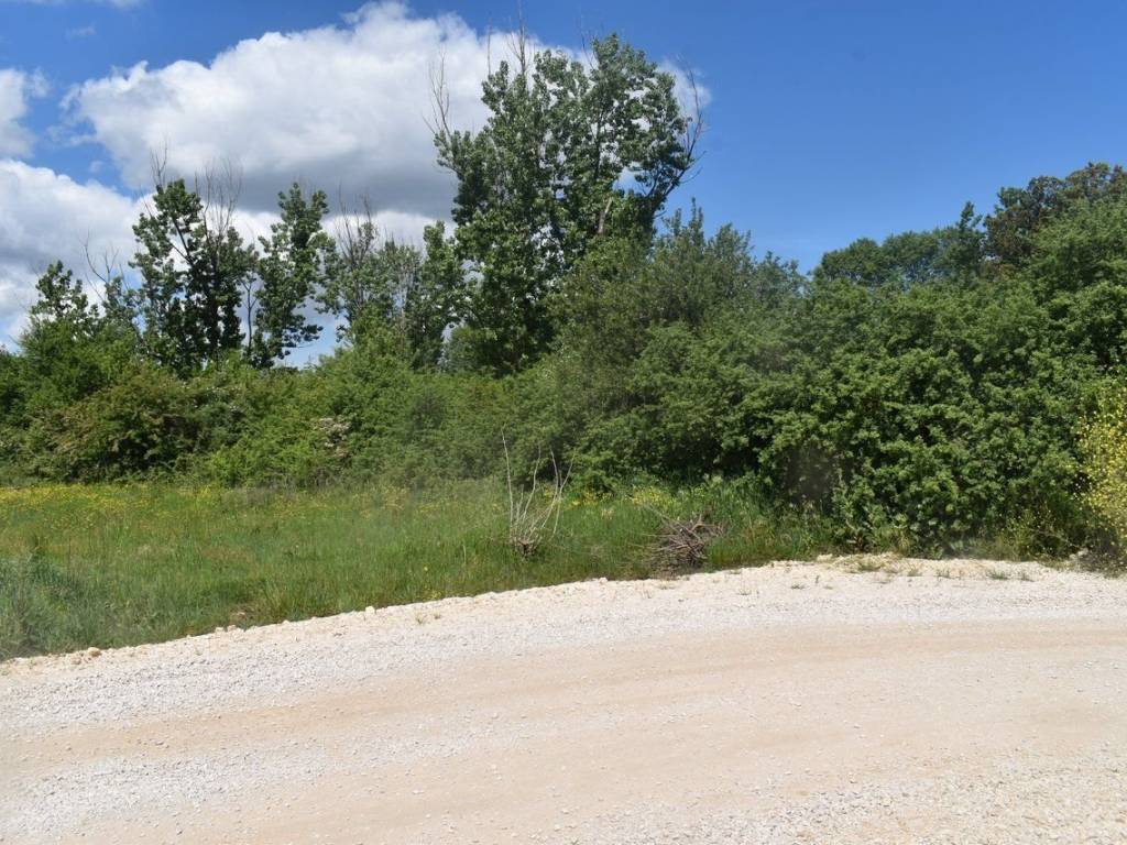 ΑΠΟΨΗ ΑΓΡΟΤΕΜΑΧΙΟΥ