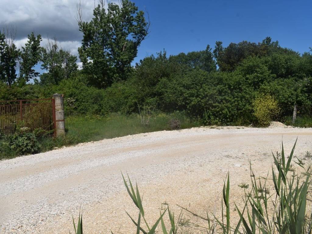 ΑΠΟΨΗ ΑΓΡΟΤΕΜΑΧΙΟΥ