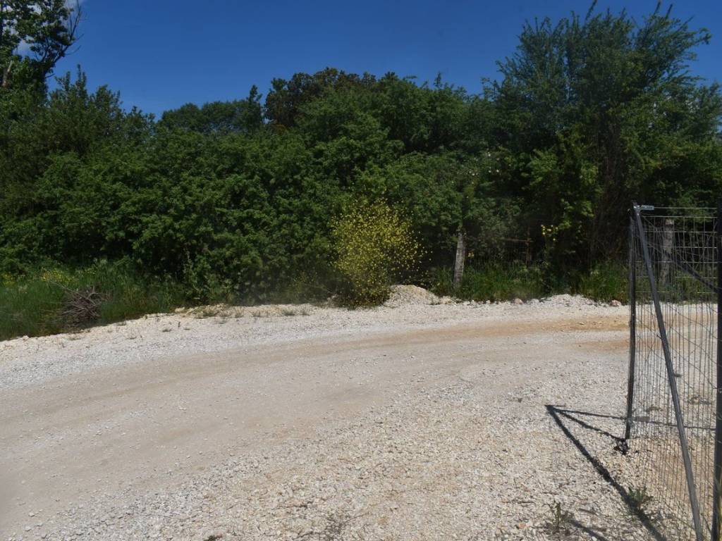 ΑΠΟΨΗ ΑΓΡΟΤΕΜΑΧΙΟΥ