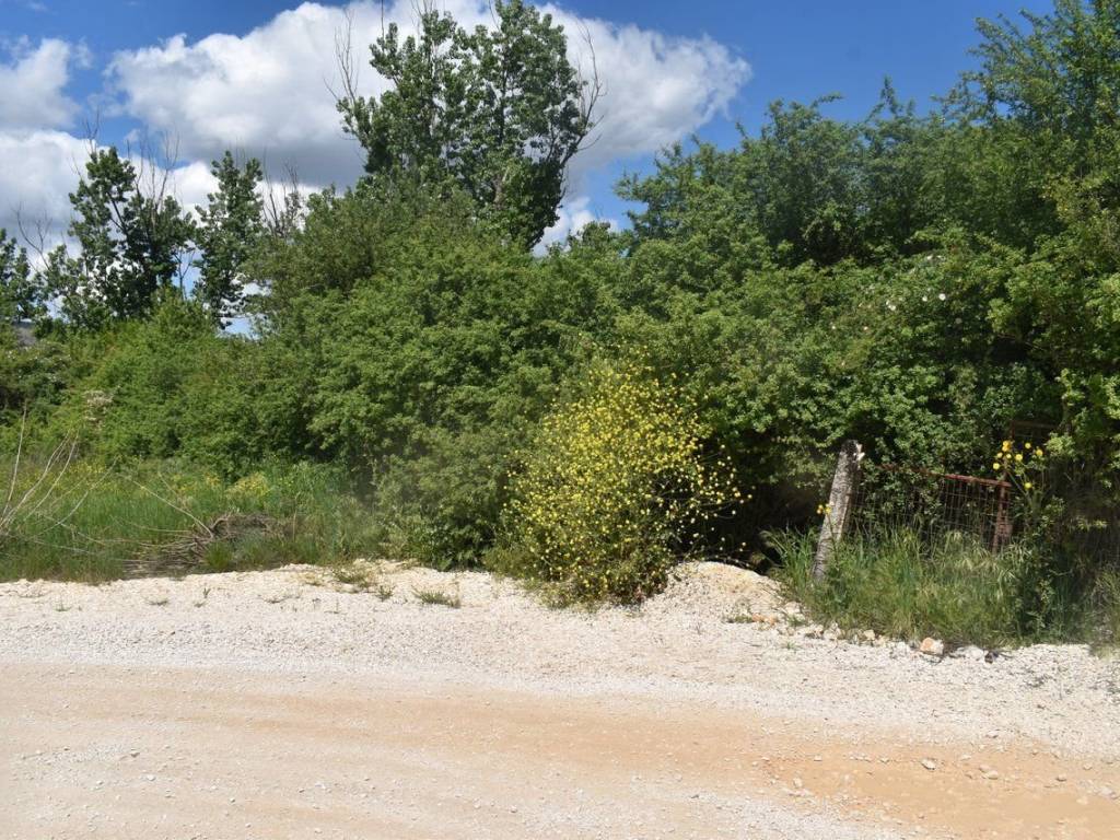 ΑΠΟΨΗ ΑΓΡΟΤΕΜΑΧΙΟΥ