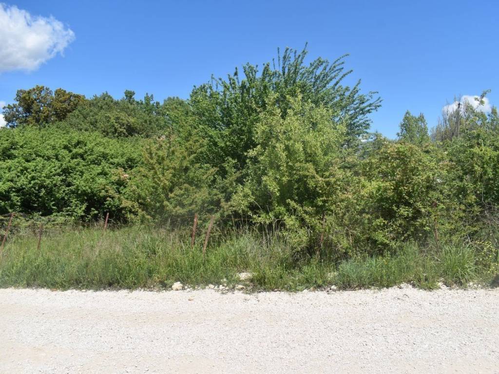 ΑΠΟΨΗ ΑΓΡΟΤΕΜΑΧΙΟΥ