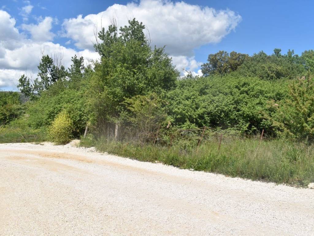 ΑΠΟΨΗ ΑΓΡΟΤΕΜΑΧΙΟΥ