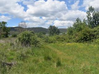 ΑΠΟΨΗ ΑΓΡΟΤΕΜΑΧΙΟΥ